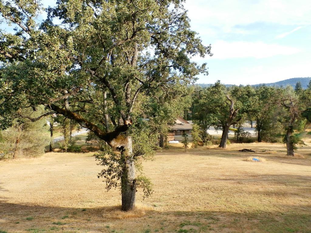 New Charming 2 Bedrooms Unit Close To Everything Oakhurst Exterior foto