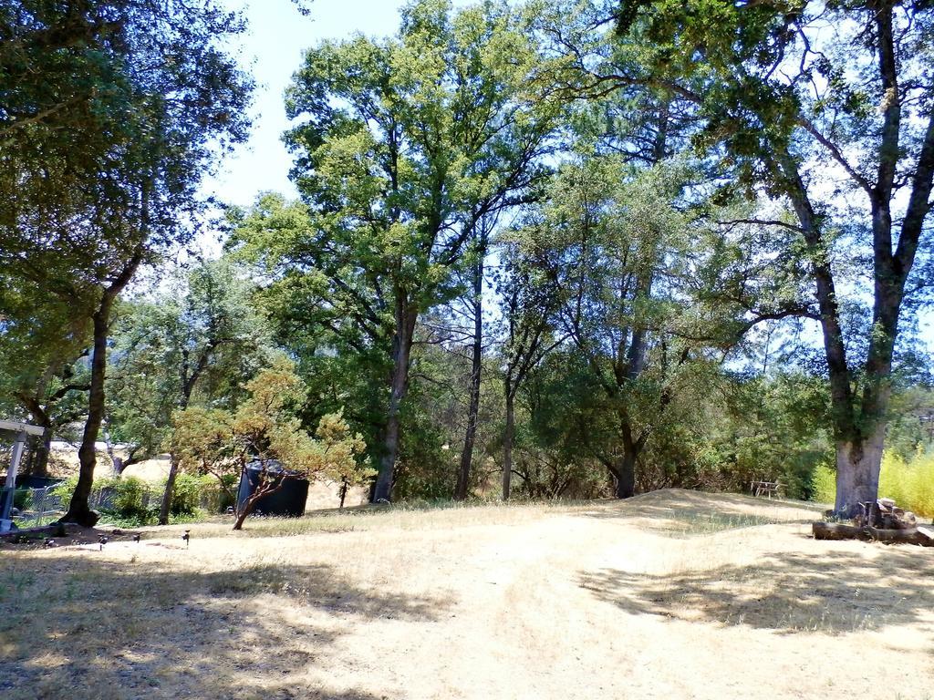 New Charming 2 Bedrooms Unit Close To Everything Oakhurst Exterior foto